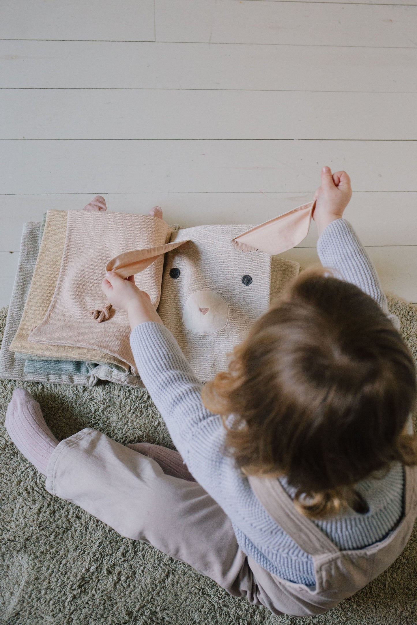 Sensory Book of Animals
